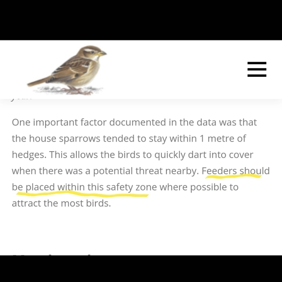 Save the Sparrows! - Picture 3 of 11